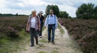 Wanderung in der Lneburger Heide