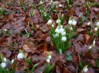 Wanderung zu den Mrzenbecher