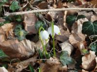 Wanderung zu den Mrzenbecher