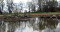 Wanderung zum Wietze-Park