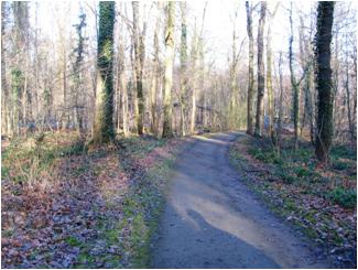 Wanderung durch die Eilenriede