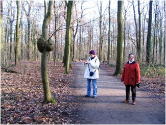 Wanderung durch die Eilenriede