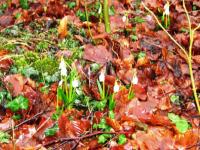 Wanderung zu den Mrzenbecher